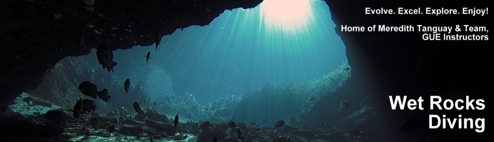 Wet Rocks Diving