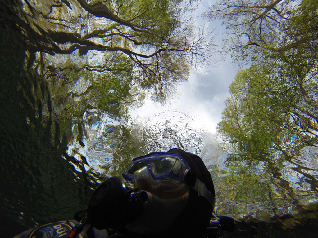 DCIM100GOPRO