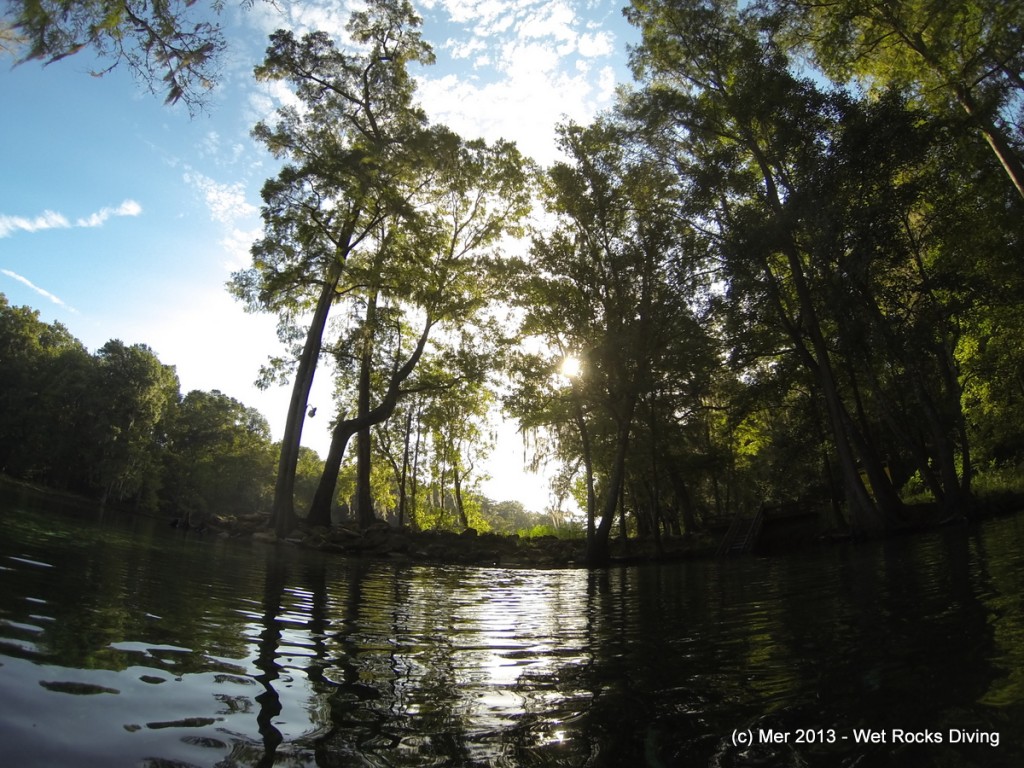 Early AM at Ginnie Springs.