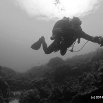 Diver at Two Step