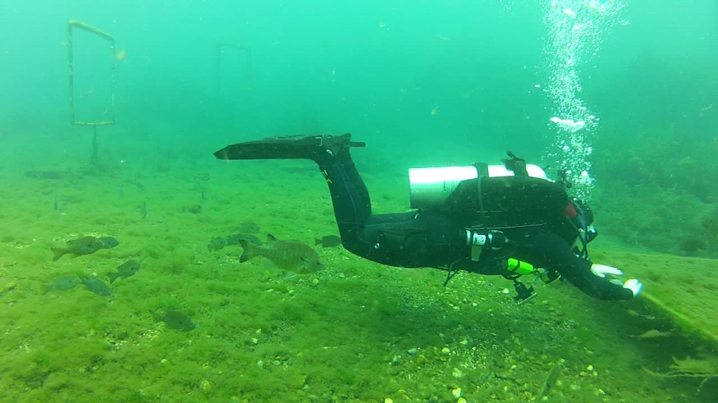 Tiff practicing back kick with an audience of fish