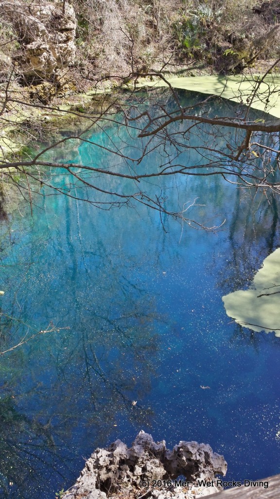 Orange Grove Sink at Peacock Springs - 5 Feb 2016