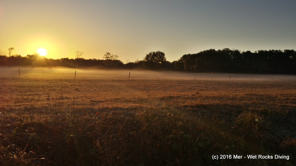 Peaceful morning with ground-fog and great color