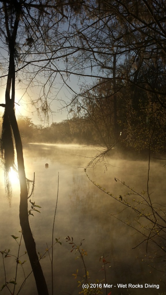 Santa Fe River steaming first thing in the morning. 