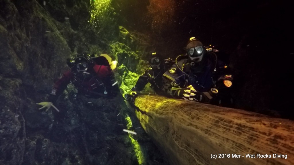 Mer, Jeff, and Vince on deco in Devil's Ear