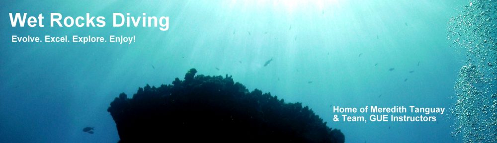 Wet Rocks Diving