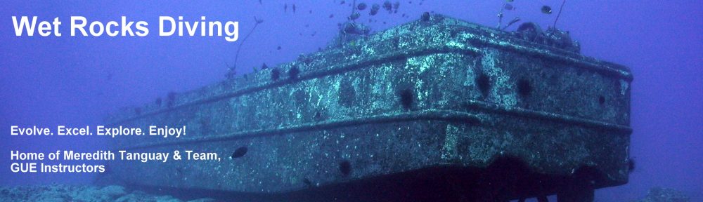 Wet Rocks Diving