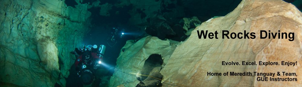 Wet Rocks Diving