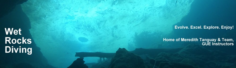 Wet Rocks Diving