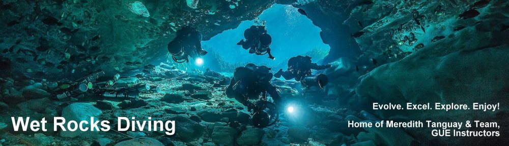 Wet Rocks Diving